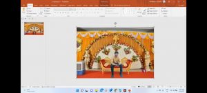 how to change photo background colour on PowerPoint